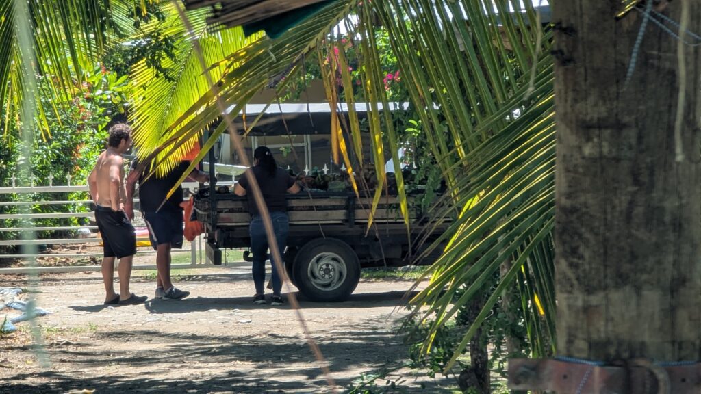 Am Strand kam ein Gemüsehändler vorbei und Michi hat ordentlich eingekauft.